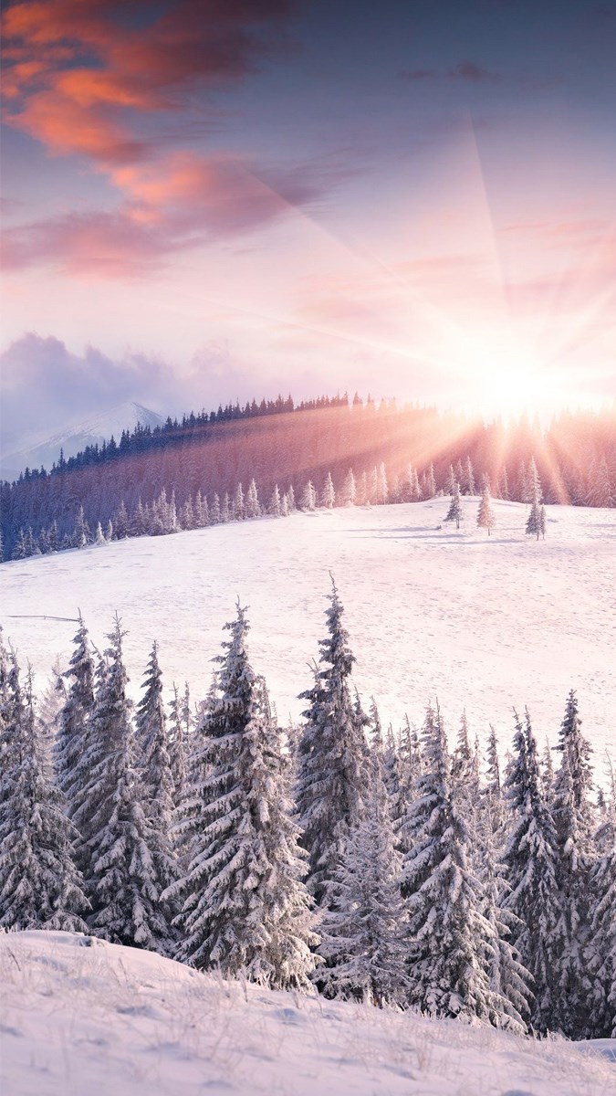 Tổng hợp những hình nền mùa đông, Giáng sinh đẹp nhất - BlogAnChoi