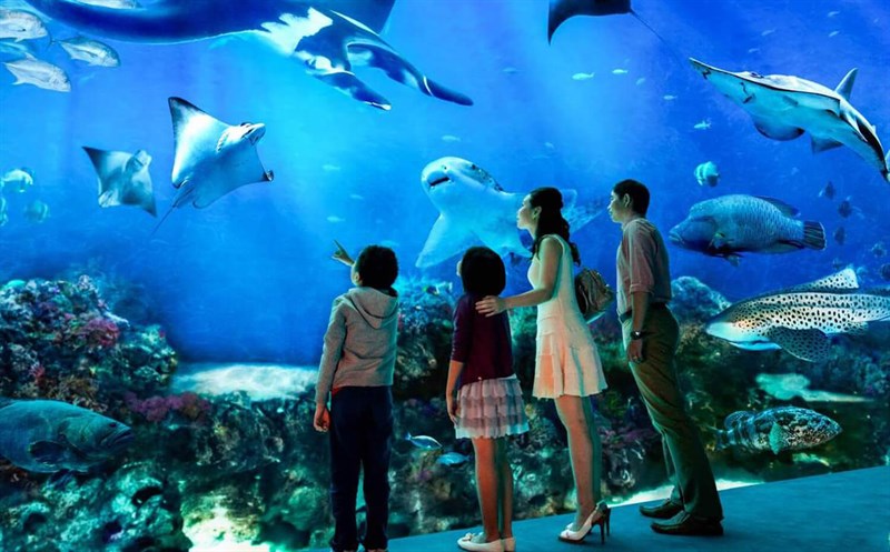 Dạo chơi tại Thủy Cung Times City
