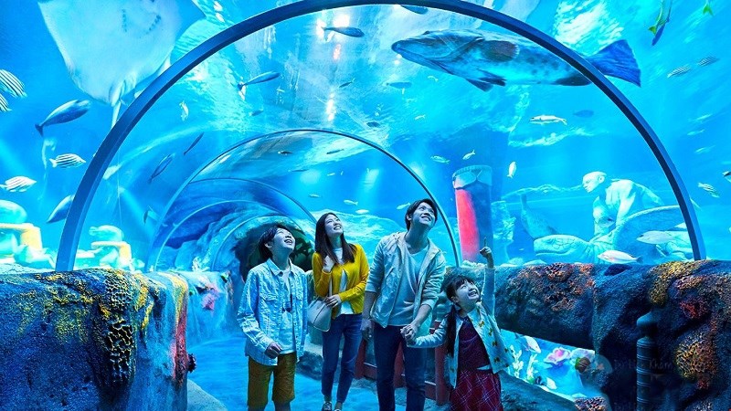 Tour khám phá Thủy cung Times City