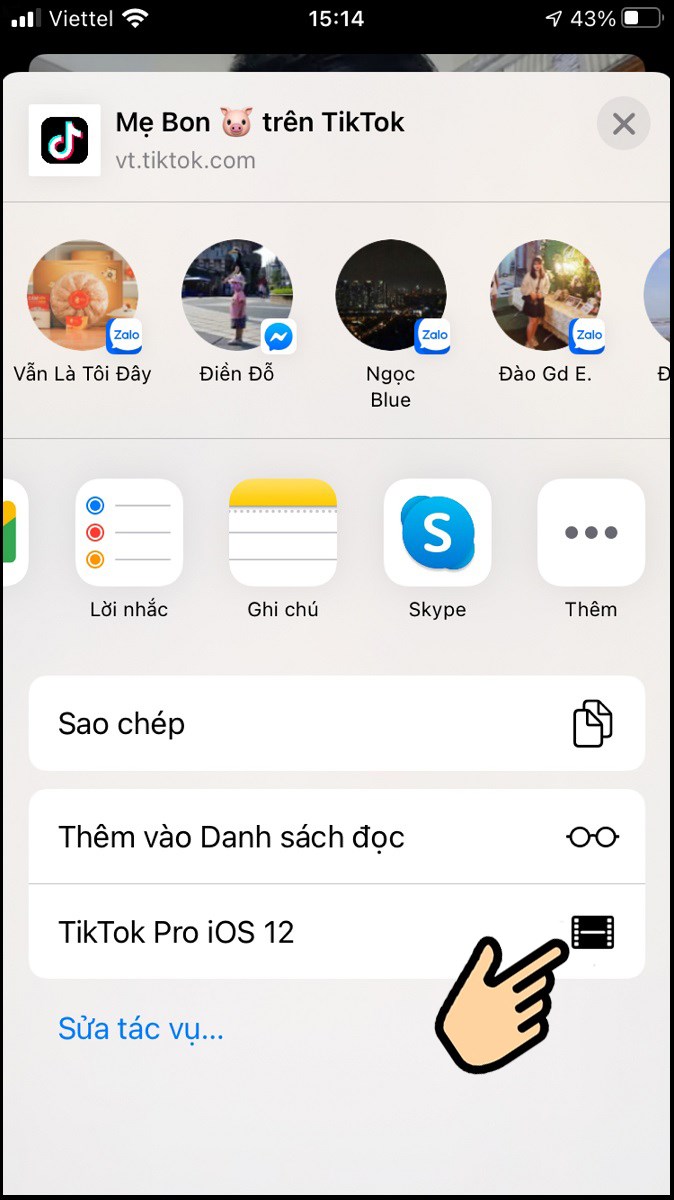 Chọn TikTok Pro iOS 12 để tải video về