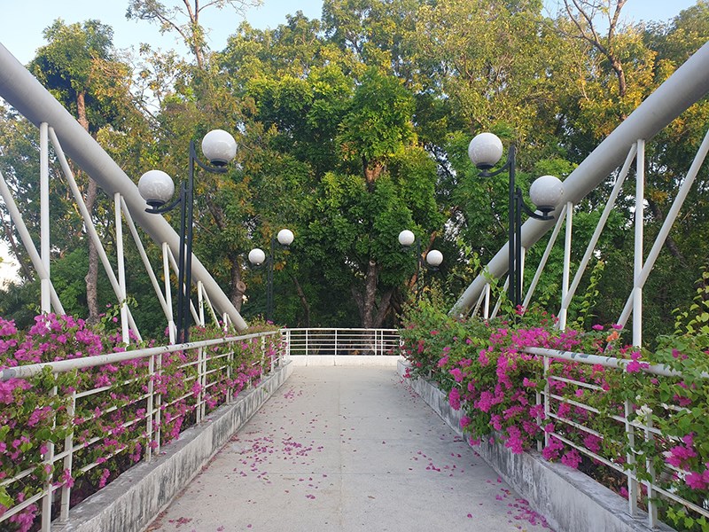 Cầu đi bộ - Công viên Gia Định
