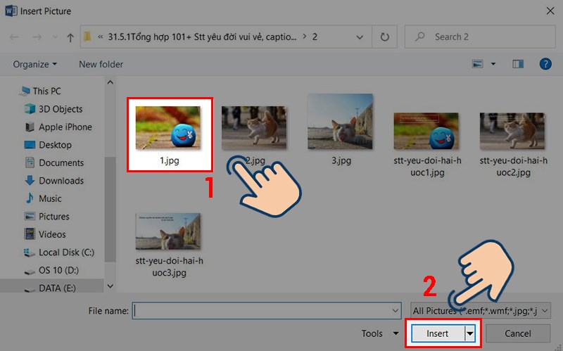 Chọn ảnh muốn thêm và nhấn Insert.