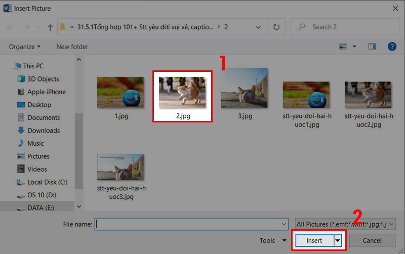 Tiếp theo chọn ảnh mà bạn muốn làm mờ trong Word&nbsp;và nhấn Insert.