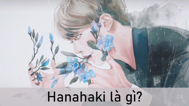 Hanahaki là gì? Nguồn gốc, triệu chứng, cách chữa bệnh Hanahaki