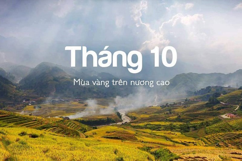 Mùa vàng trên nương cao