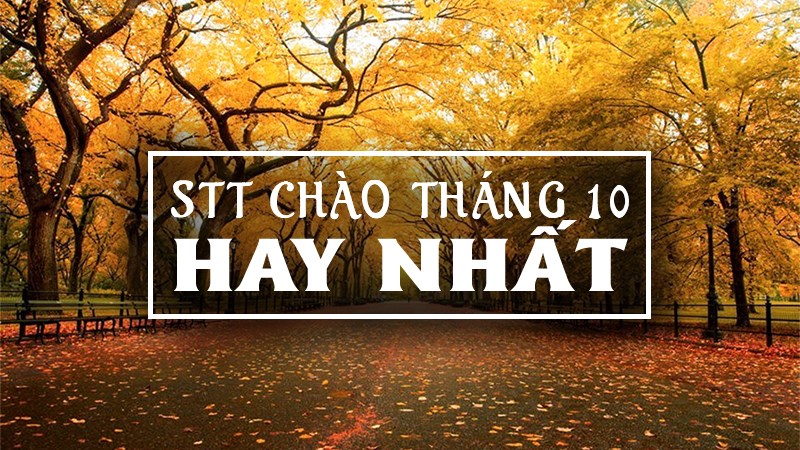 Tổng hợp stt hay chào tháng 10