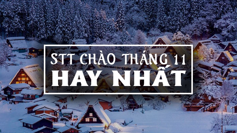 Stt tháng 11 - Câu nói hay về tháng 11 ý nghĩa nhất cho mùa cuối năm