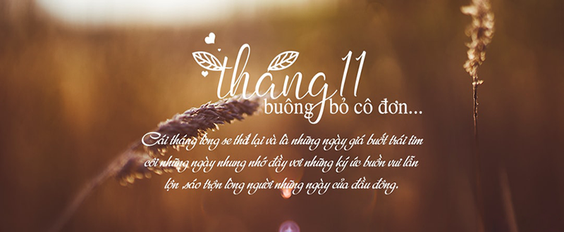 Tháng 11 - buông bỏ cô đơn