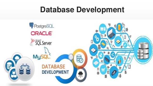 Nhờ ngôn ngữ lập trình việc quản lý và phát triển cơ sở dữ liệu trở nên dễ dàng hơn