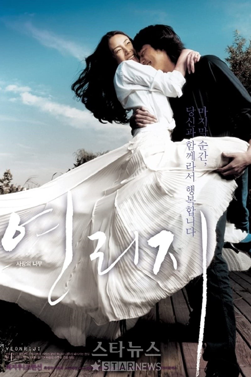 Poster Lá Thư Tình