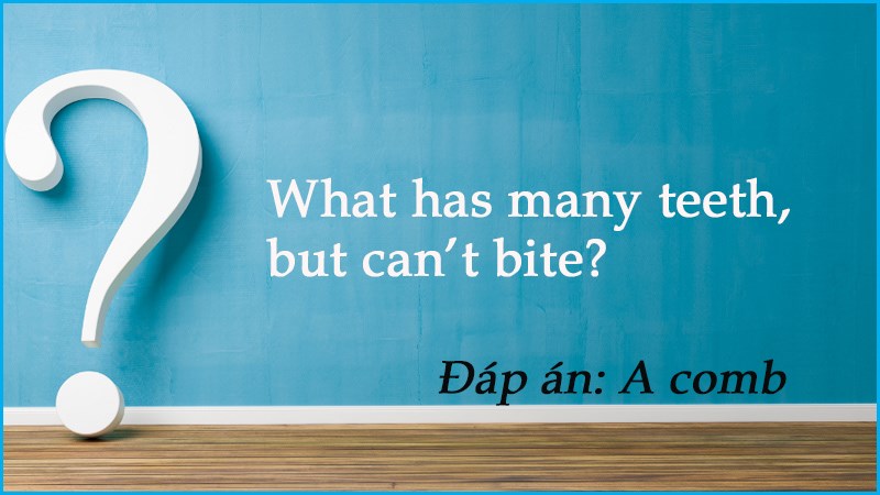 Câu đố tiếng Anh chơi chữ