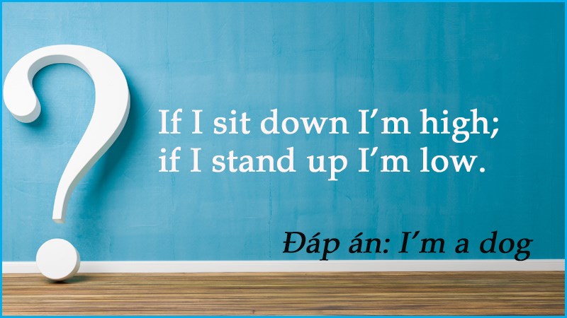 Câu đố tiếng Anh chơi chữ