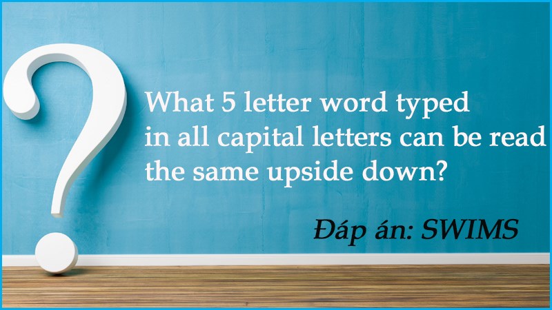 Câu đố tiếng Anh chơi chữ 