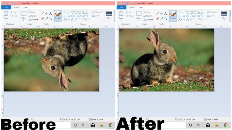 C&aacute;ch xoay ảnh trong Paint tr&ecirc;n m&aacute;y t&iacute;nh Windows