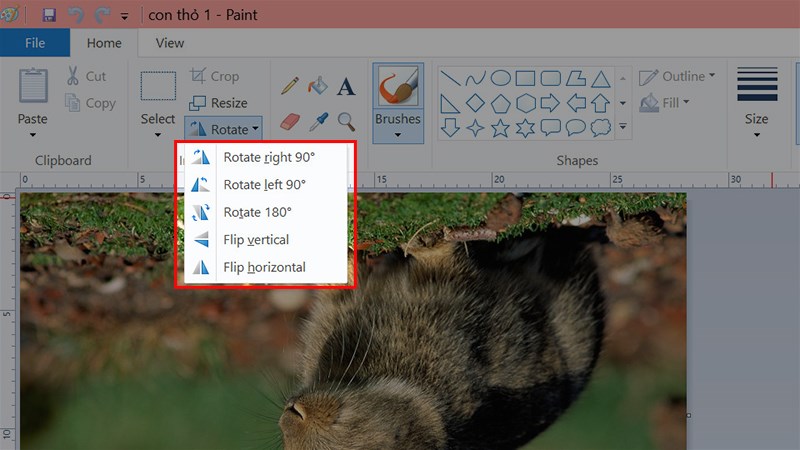 Sẽ c&oacute; nhiều t&ugrave;y chọn xoay ảnh để bạn lựa chọn