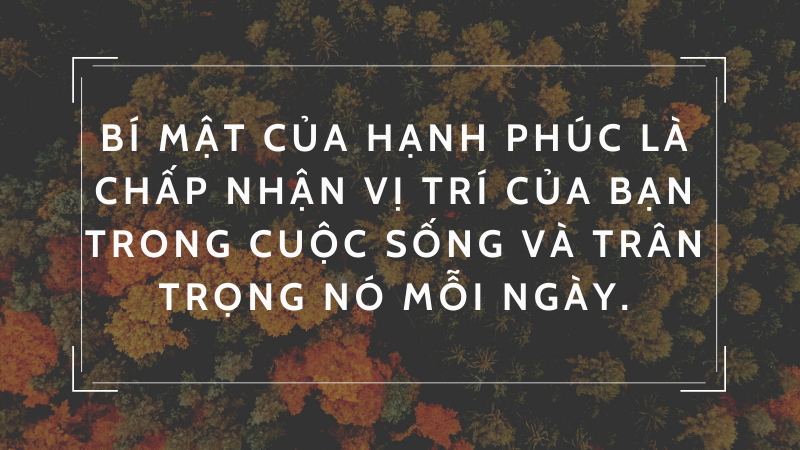 Bí mật của hạnh phúc là chấp nhận vị trí của bạn trong cuộc sống và trân trọng nó mỗi ngày.