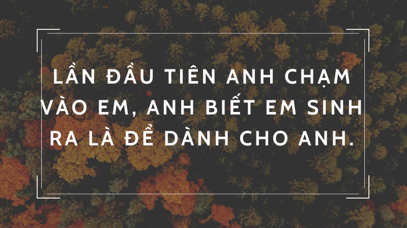Lần đầu tiên anh chạm vào em, anh biết em sinh ra là để dành cho anh.