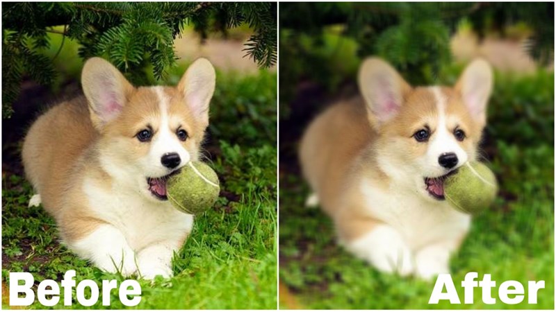 Cách làm mờ ảnh bằng ứng dụng Photo wonder
