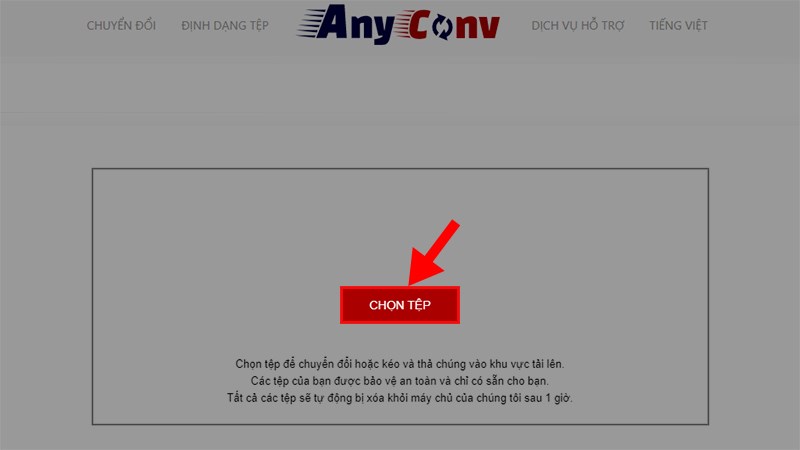 Truy cập v&agrave;o trang Anycov > Nhấn v&agrave;o CHỌN TỆP