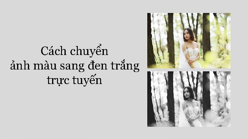 Học cách hướng dẫn chuyển ảnh màu sang ảnh đen trắng trong Adobe Photoshop CC