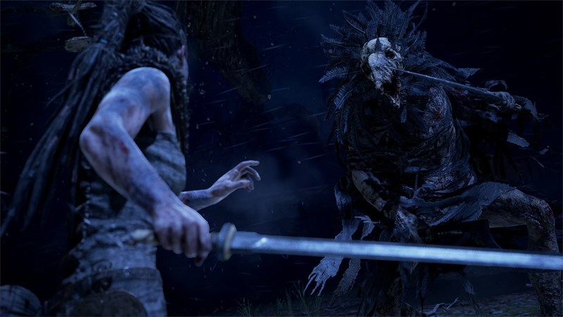 Hellblade: Senua’s Sacrifice Hellblade: Senua’s Sacrifice