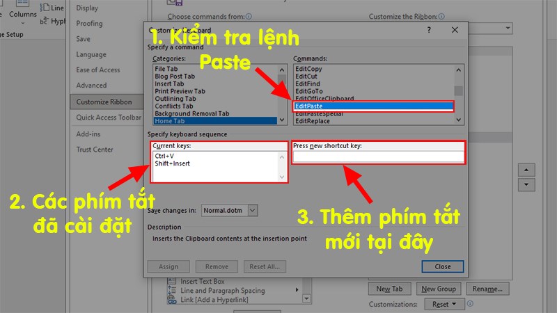 Kiểm tra lệnh EditPaste (Lệnh dán dữ liệu sau khi Copy hoặc Cut)