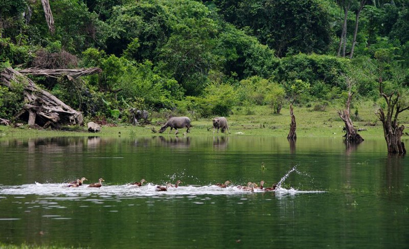 Hồ Noong cũng là nơi đã nuôi sống bao thế hệ người dân nơi đây