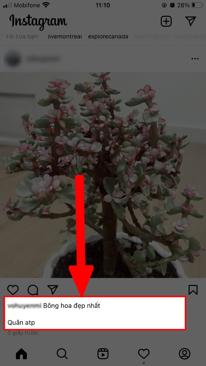 Xem caption b&agrave;i viết hiển thị xuống d&ograve;ng