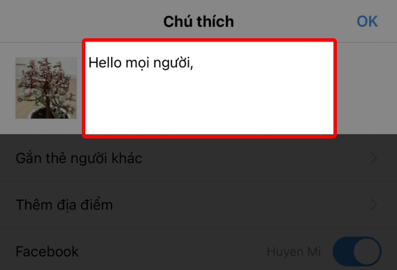 D&aacute;n nội dung vừa copy v&agrave;o caption Instagram