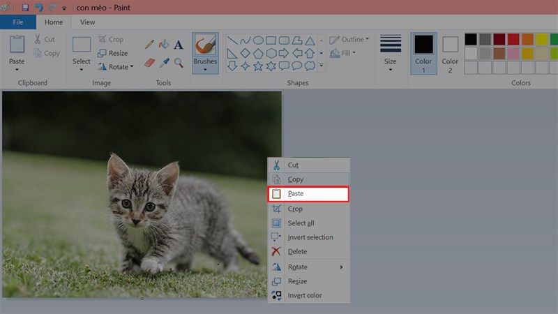 hấn chuột phải vào ảnh > Chọn Paste hoặc nhấn tổ hợp phím Ctrl + V