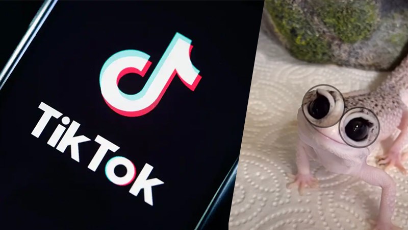 Quay video filter đ&ocirc;i mắt to tr&ecirc;n Tiktok