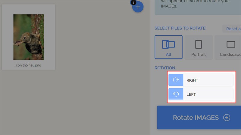 Tại mục ROTATION, sẽ có 2 công cụ xoay, lật ảnh để bạn lựa chọn