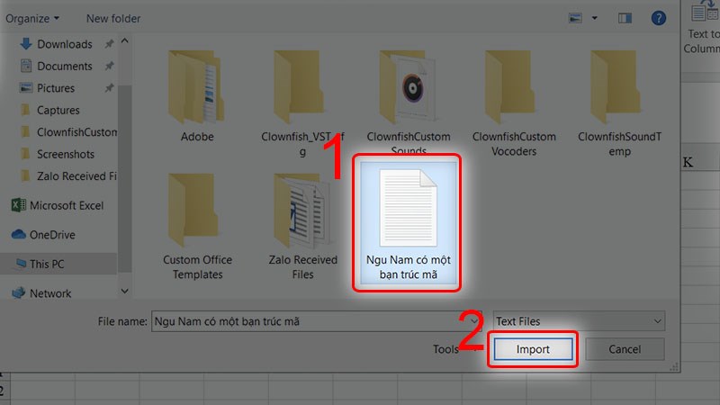 Chọn đến file Plain Text mà bạn vừa lưu và nhấn chọn Import.