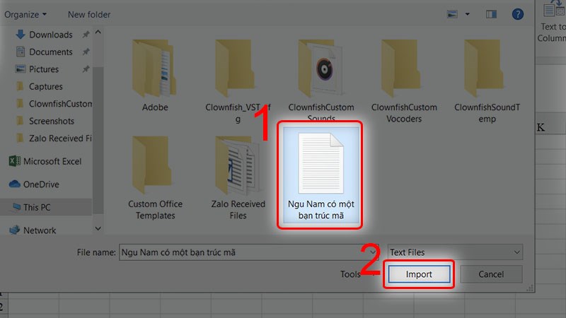Chọn đến file Plain Text mà bạn vừa lưu và nhấn chọn Import.