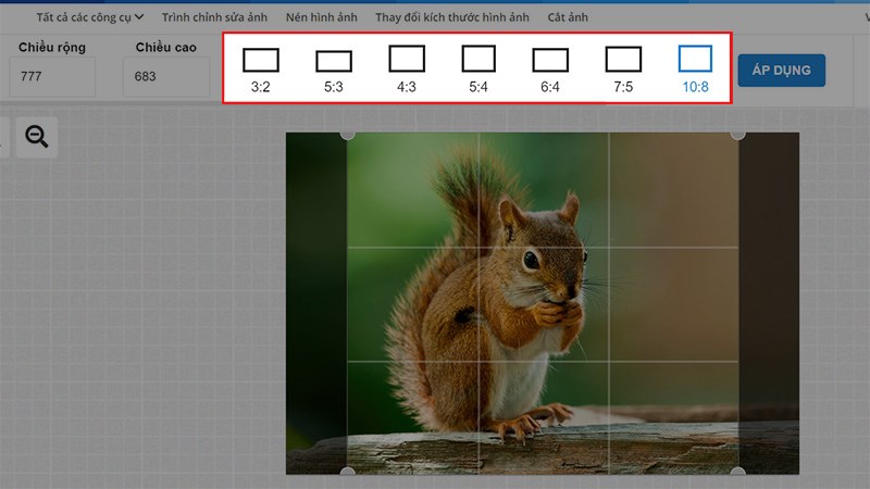 Chọn cắt ảnh theo các tỉ lệ nhất định: 2:3, 5:3, 5:4, 6:4, 7:5, 10:8