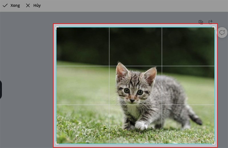  Tiến hành kéo thả và di chuyển khung để chọn phần ảnh muốn cắt