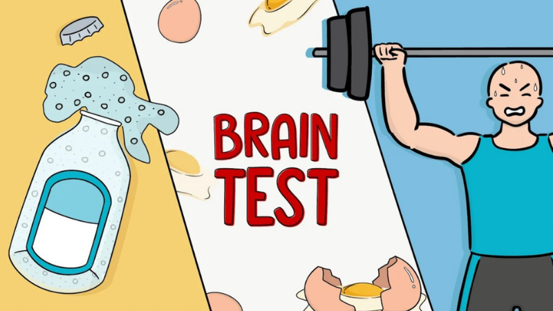 Brain Test