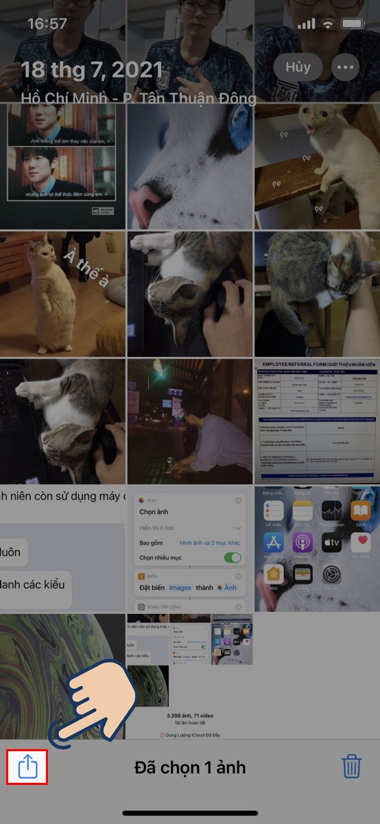 Sau đ&oacute; chọn ảnh m&agrave; bạn muốn thay đổi k&iacute;ch thước v&agrave; nhấn v&agrave;o biểu tượng chia sẻ.