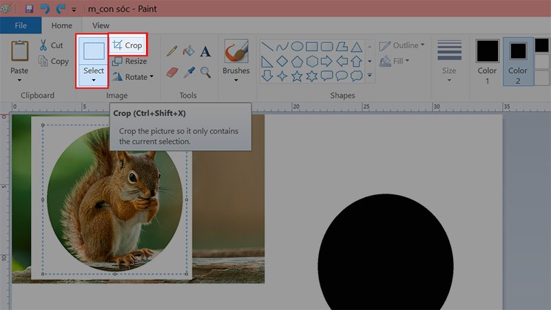 Chọn Select > Chọn Crop hoặc nhấn tổ hợp ph&iacute;m Ctrl + Shift + X để cắt ảnh th&agrave;nh h&igrave;nh tr&ograve;n