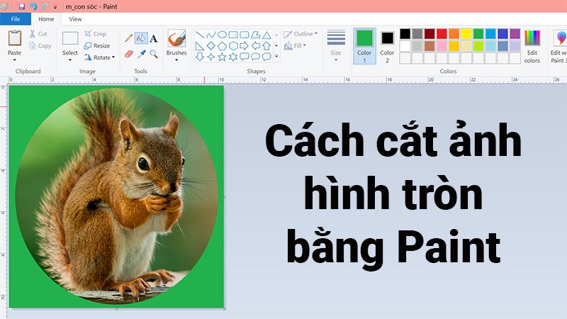 Hướng Dẫn Cách Cắt Logo Hình Tròn