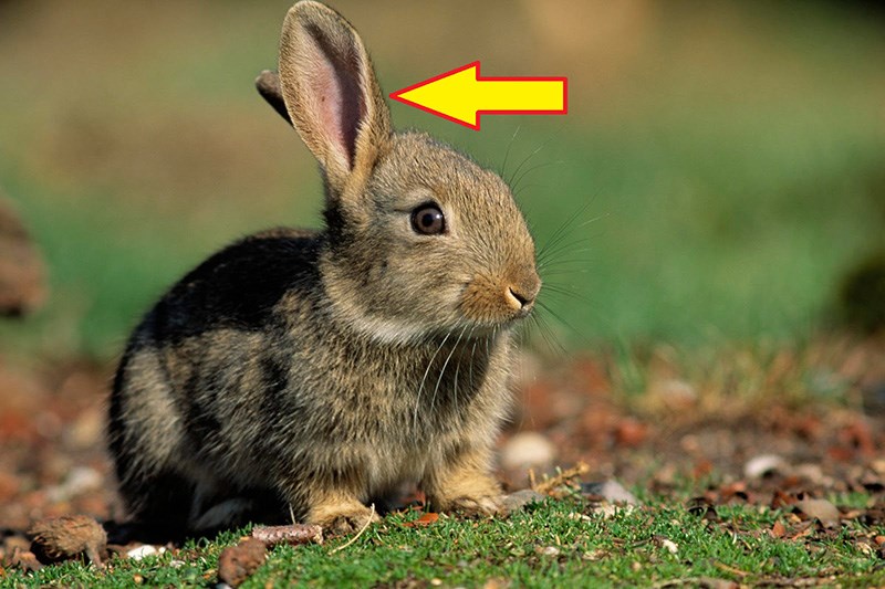 V&agrave; đ&acirc;y l&agrave; kết quả