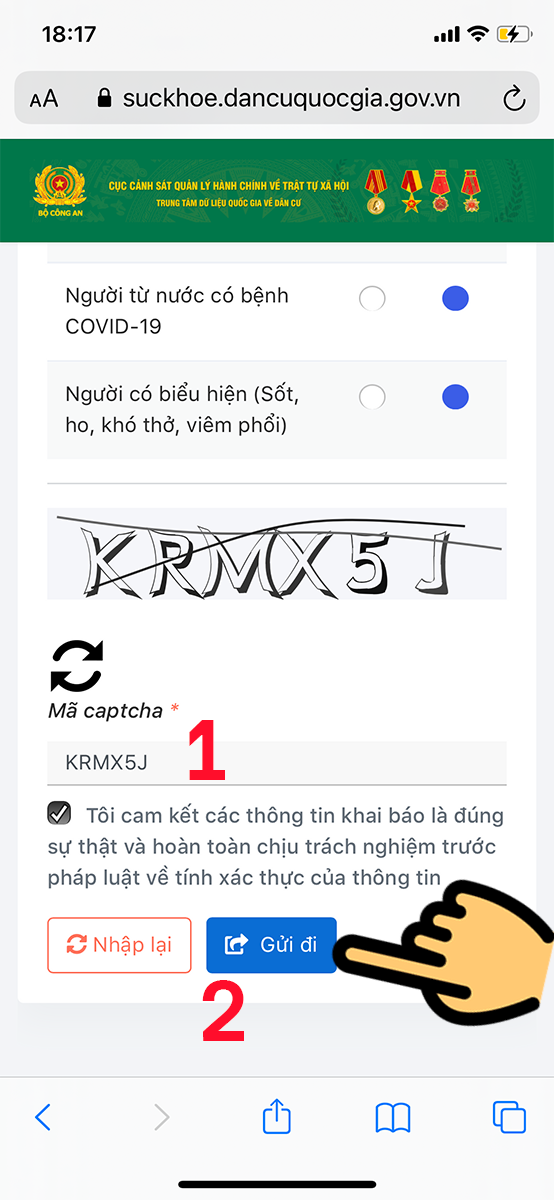 Nhập mã captcha hiển thị trên hình