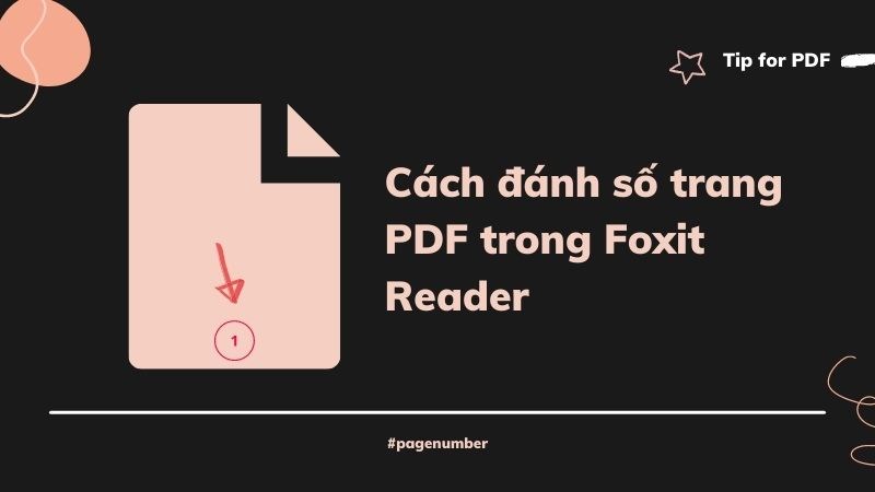 Cách đánh số trang PDF trong Foxit Reader đơn giản, nhanh chóng