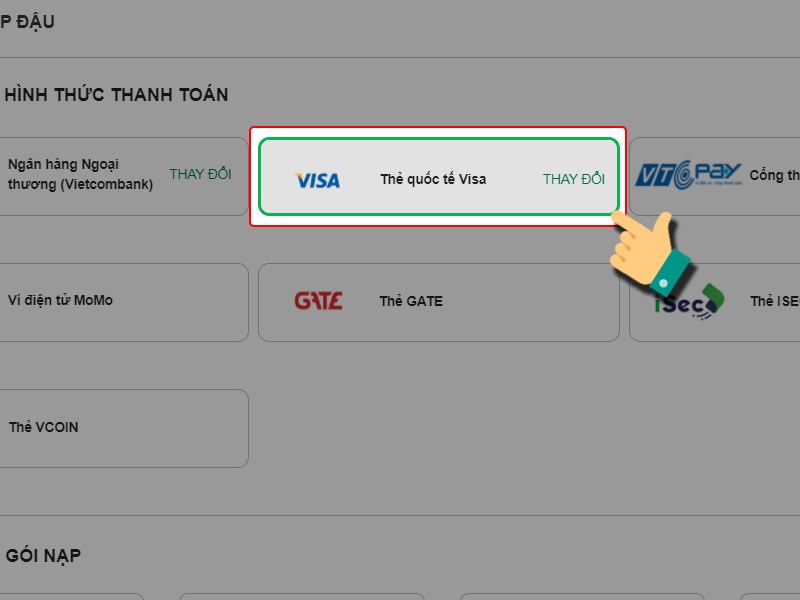 Thanh toán bằng thẻ Visa