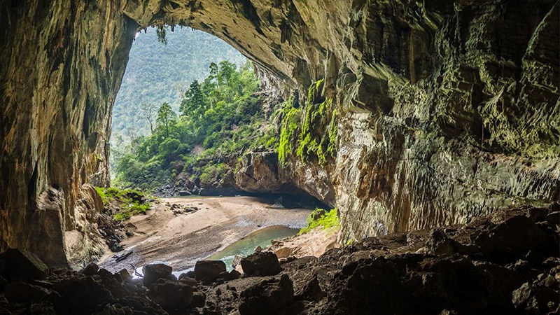 Đây là nơi sinh sống chủ yếu của loài chim Én