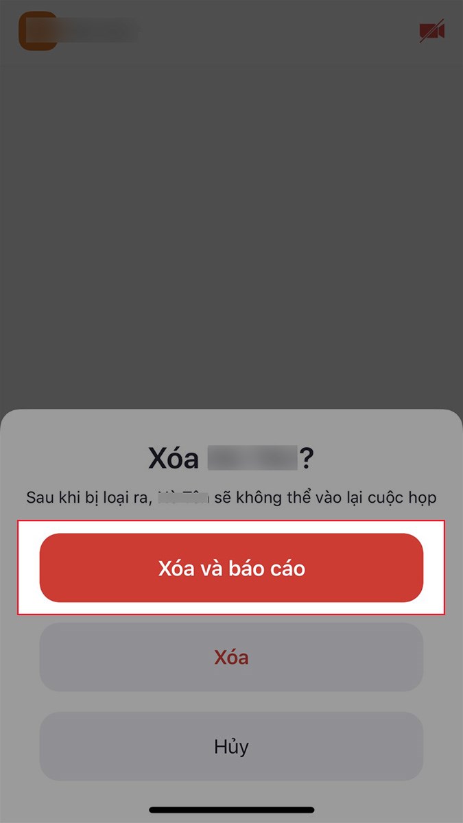 Nếu người m&agrave; bạn x&oacute;a ra khỏi ph&ograve;ng Zoom l&agrave; người lạ, bạn c&oacute; thể chọn X&oacute;a v&agrave;o b&aacute;o c&aacute;o
