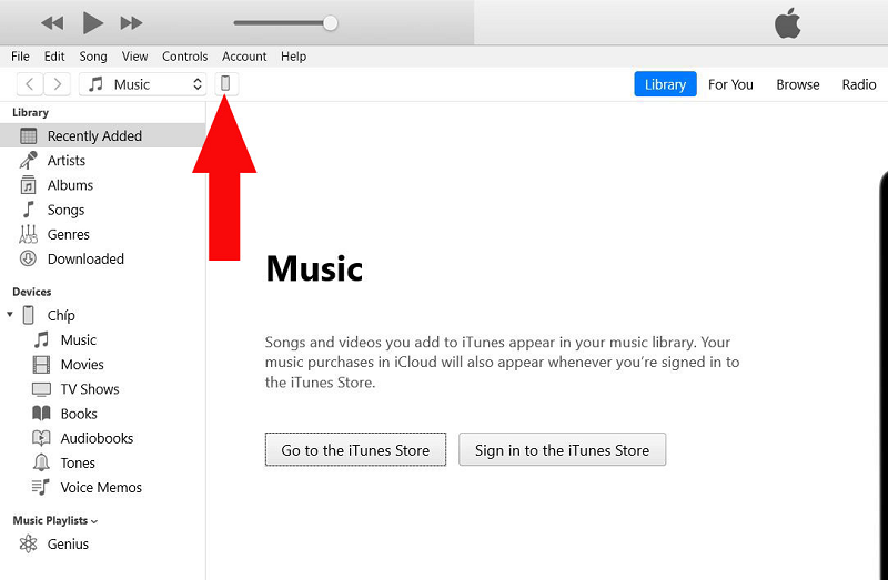 Nhấn biểu tượng iPhone trong iTunes