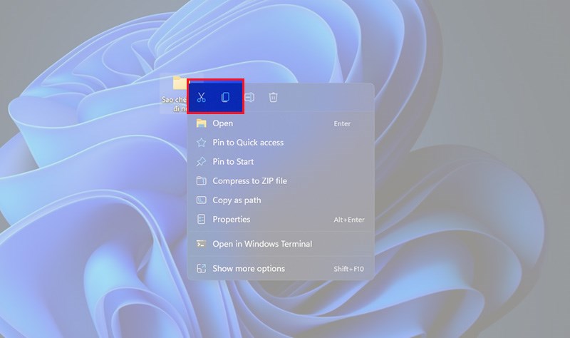 Chọn biểu tượng nh&acirc;n đ&ocirc;i để sao ch&eacute;p (Copy)