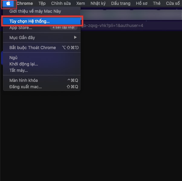 Nhấn vào logo Apple ở góc trên bên trái > Chọn Tùy chọn hệ thống Nhấn vào logo Apple ở góc trên bên trái > Chọn Tùy chọn hệ thống