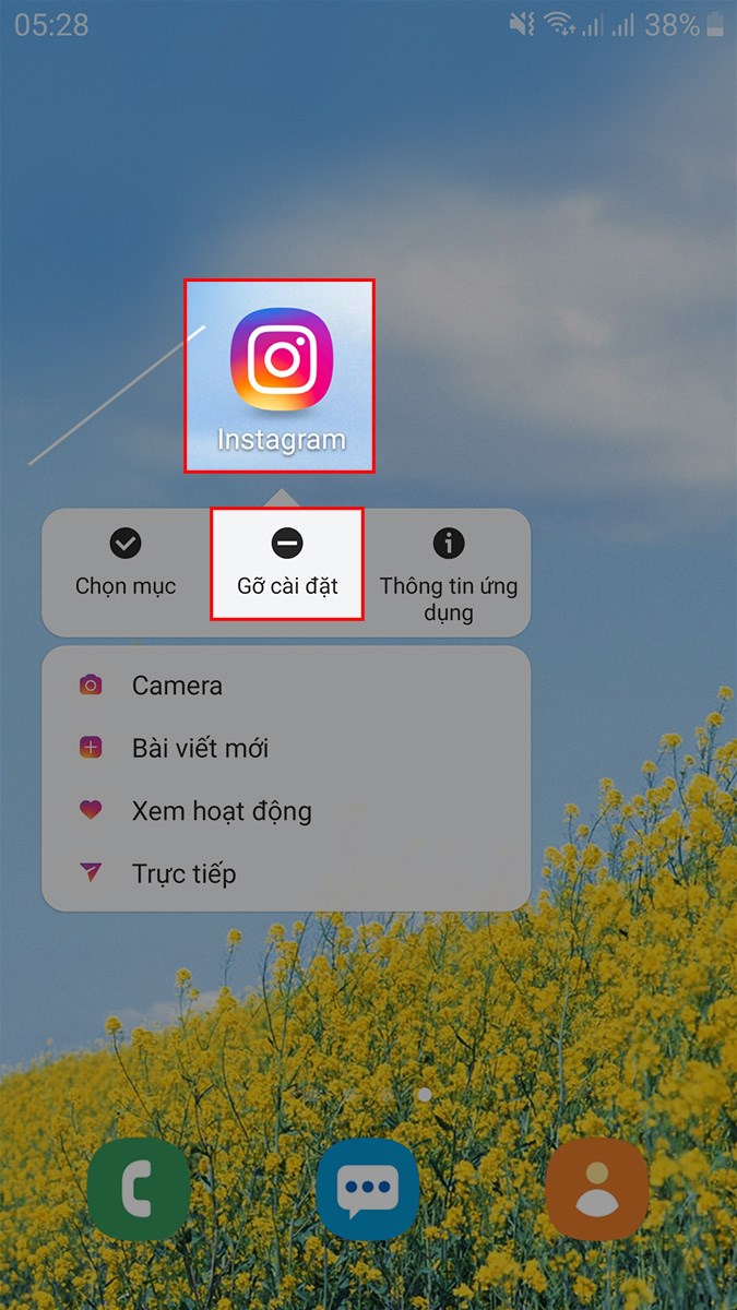 Nhấn giữ biểu tượng ứng dụng Instagram > Chọn Gỡ cài đặt